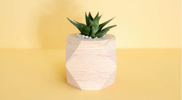 Turpis at eleifend leo mi elit Aenean porta ac sed faucibus Turpis at eleifend leo mi elit Aenean porta ac sed faucibus